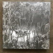 Mirko – Blank Slate 004