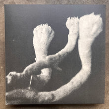 Läuten Der Seele – Unterhaltungen Mit Larven Und Überresten