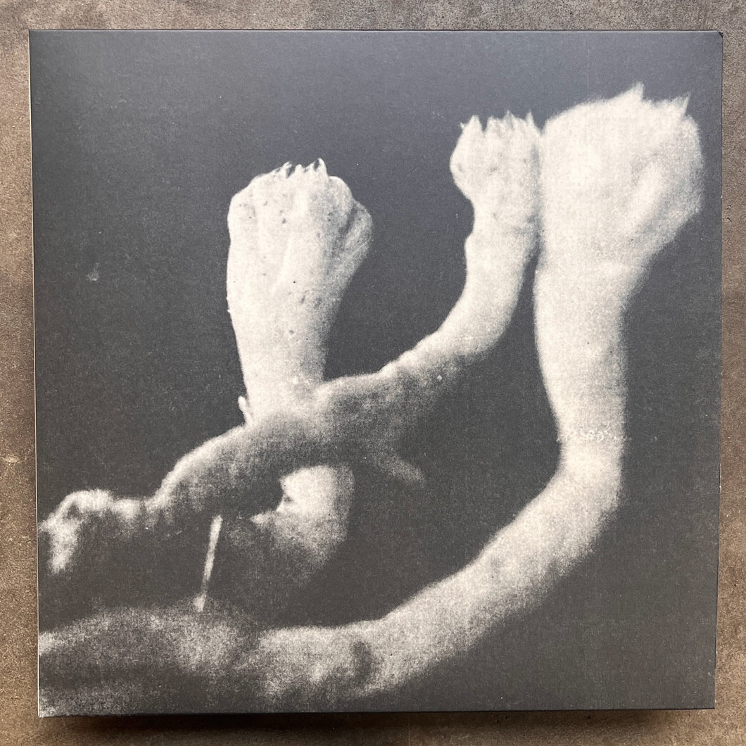 Läuten Der Seele – Unterhaltungen Mit Larven Und Überresten