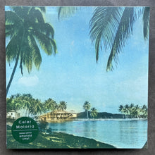 Celer – Malaria