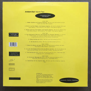 Various – Ambient Dub Volume 2. Earthjuice