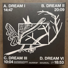 Mitar Subotić, Goran Vejvoda – The Dreambird