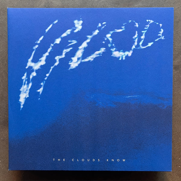 Vilod ‎– The Clouds Know