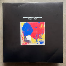 Vibracathedral Orchestra – Ragged + Right