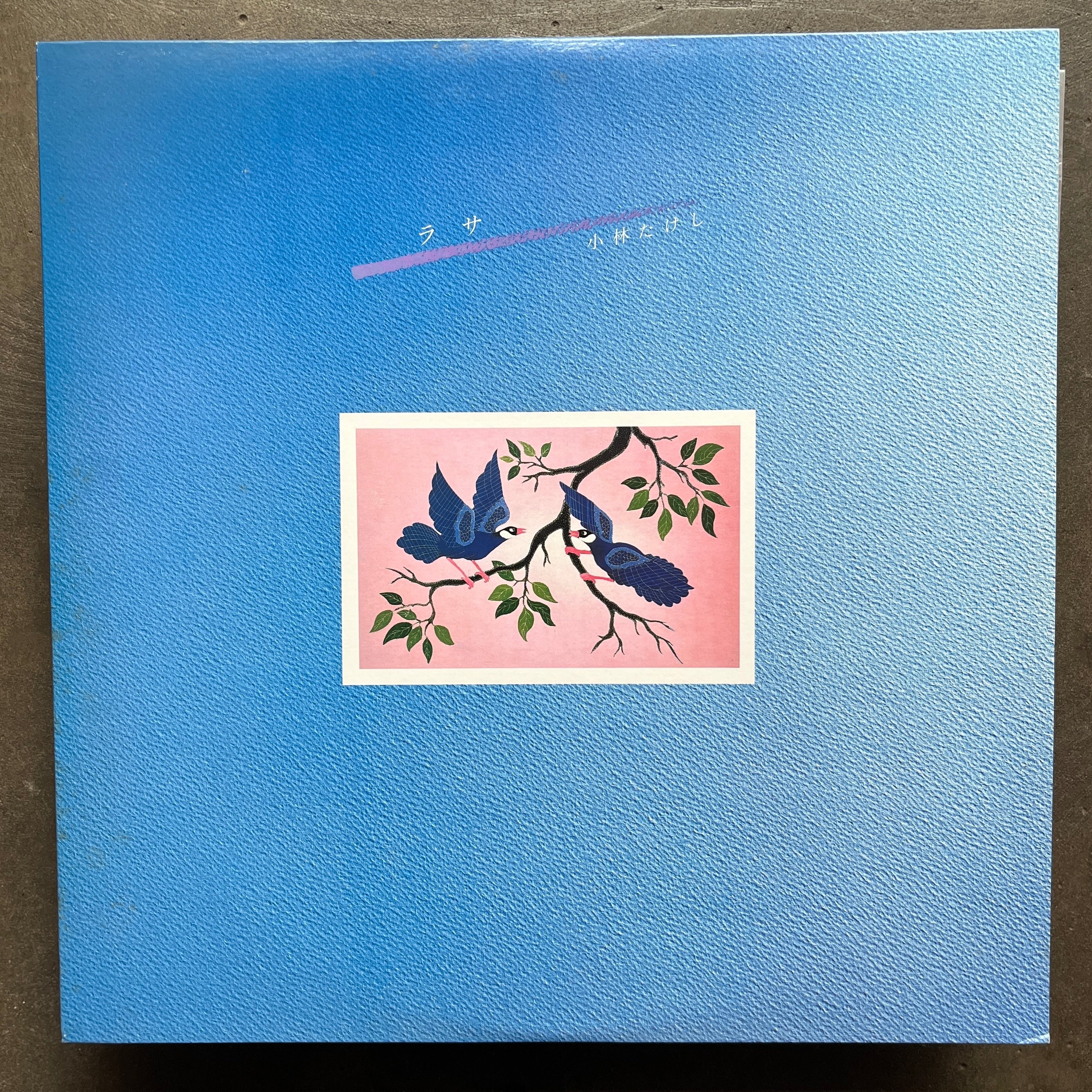 小林たけし　 小林たけし (Takeshi Kobayashi) – ラサ Rasa – All Night Flight Records