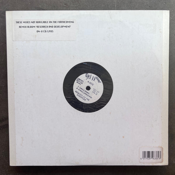 Dub Syndicate – Jungle / 2003 Struggle