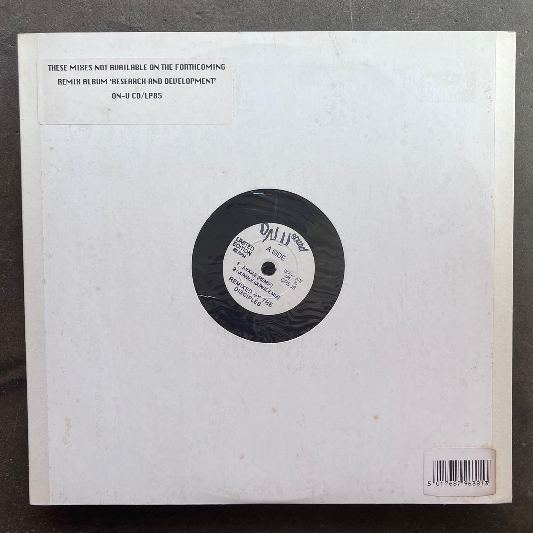 Dub Syndicate – Jungle / 2003 Struggle