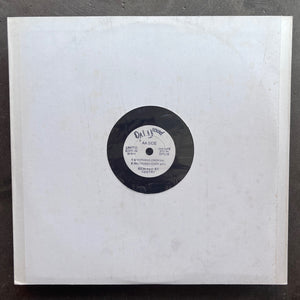 Dub Syndicate – Jungle / 2003 Struggle