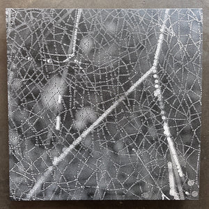 RS Tangent - Crinkle