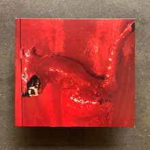 William Basinski ‎– A Red Score In Tile (CD)