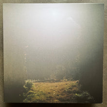 Shin Sasakubo – Venus Penguin