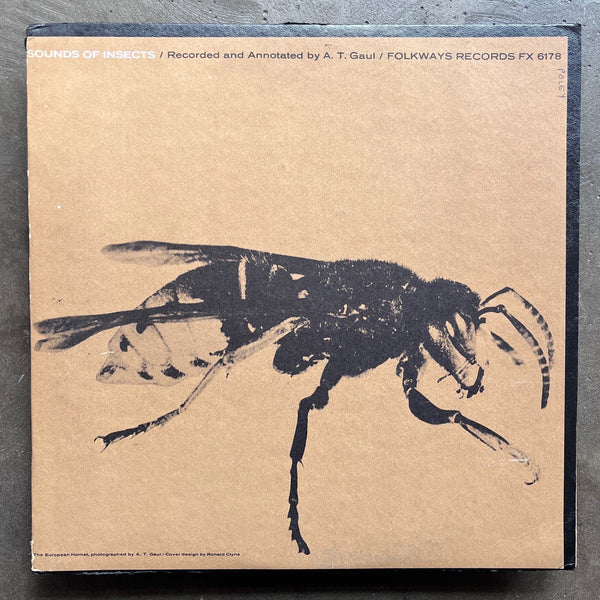 No Artist – Sounds Of Insects