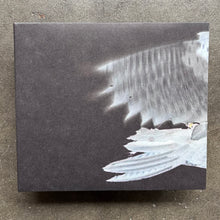 Graham Lambkin / Michael Pisaro – Schwarze Riesenfalter