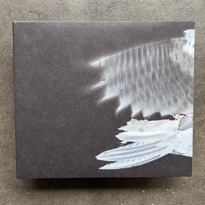 Graham Lambkin / Michael Pisaro – Schwarze Riesenfalter