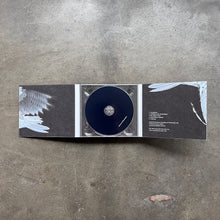 Graham Lambkin / Michael Pisaro – Schwarze Riesenfalter