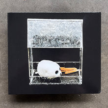 Moniek Darge / Vanessa Rossetto – Dream Soundies