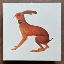 Vashti Bunyan – Lookaftering