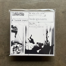 Rex, Vejvoda, Milan / CHBB – Untitled / NBKE