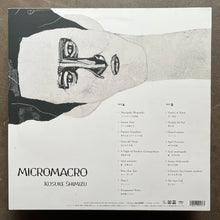 Kosuke Shimizu - Micromacro
