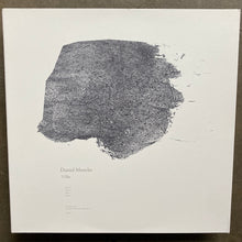 Daniel Menche – Vilké