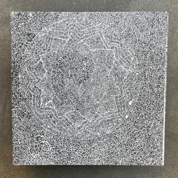 Terry Riley – Poppy Nogood And The Phantom Band 