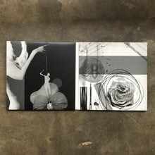 Demdike Stare ‎– Elemental Parts 1 / 2 / 3 / 4