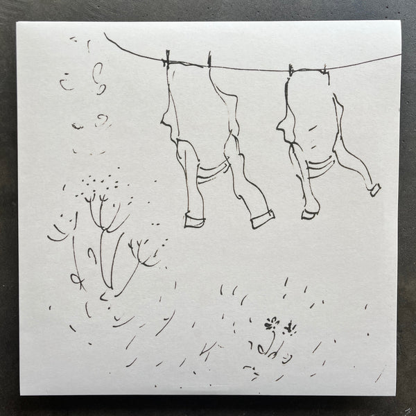 Annie A – The Wind That Had Not Touched Land