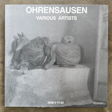 Various – Ohrensausen