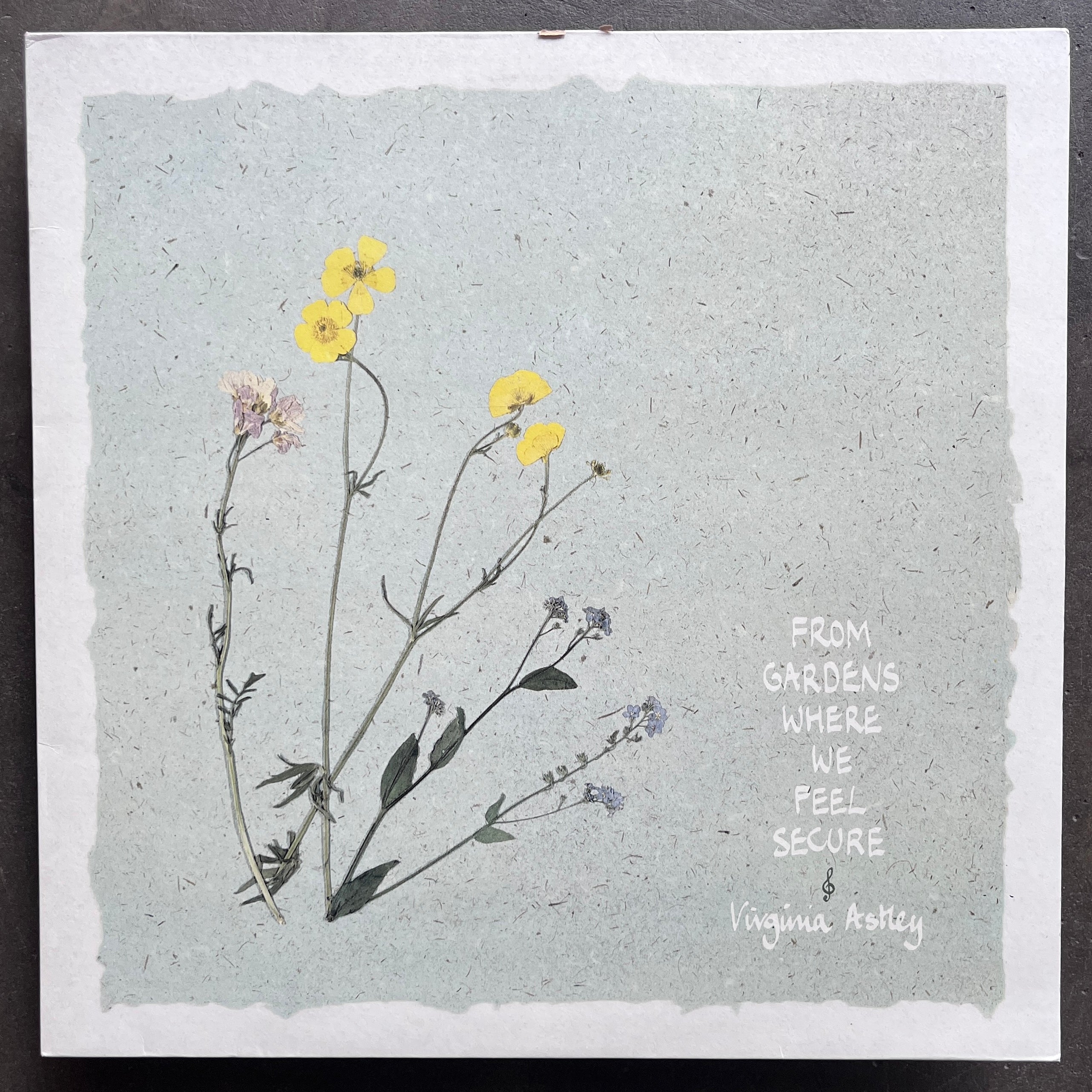 Virginia Astley – From Gardens Where We Feel Secure – All