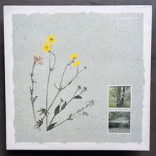 Virginia Astley – From Gardens Where We Feel Secure