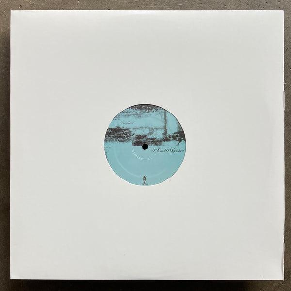 Theo Parrish ‎– Overyohead