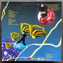 Laila France – Orgonon