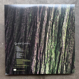 Rafael Toral – Spectral Evolution