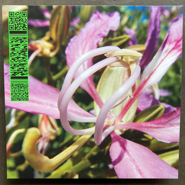 Avalon Emerson – Whities 013