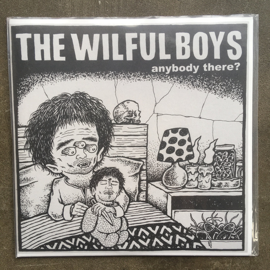 The Wilful Boys ‎– Anybody There?