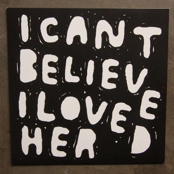 Moomin ‎– I Cant Believe I Loved Her