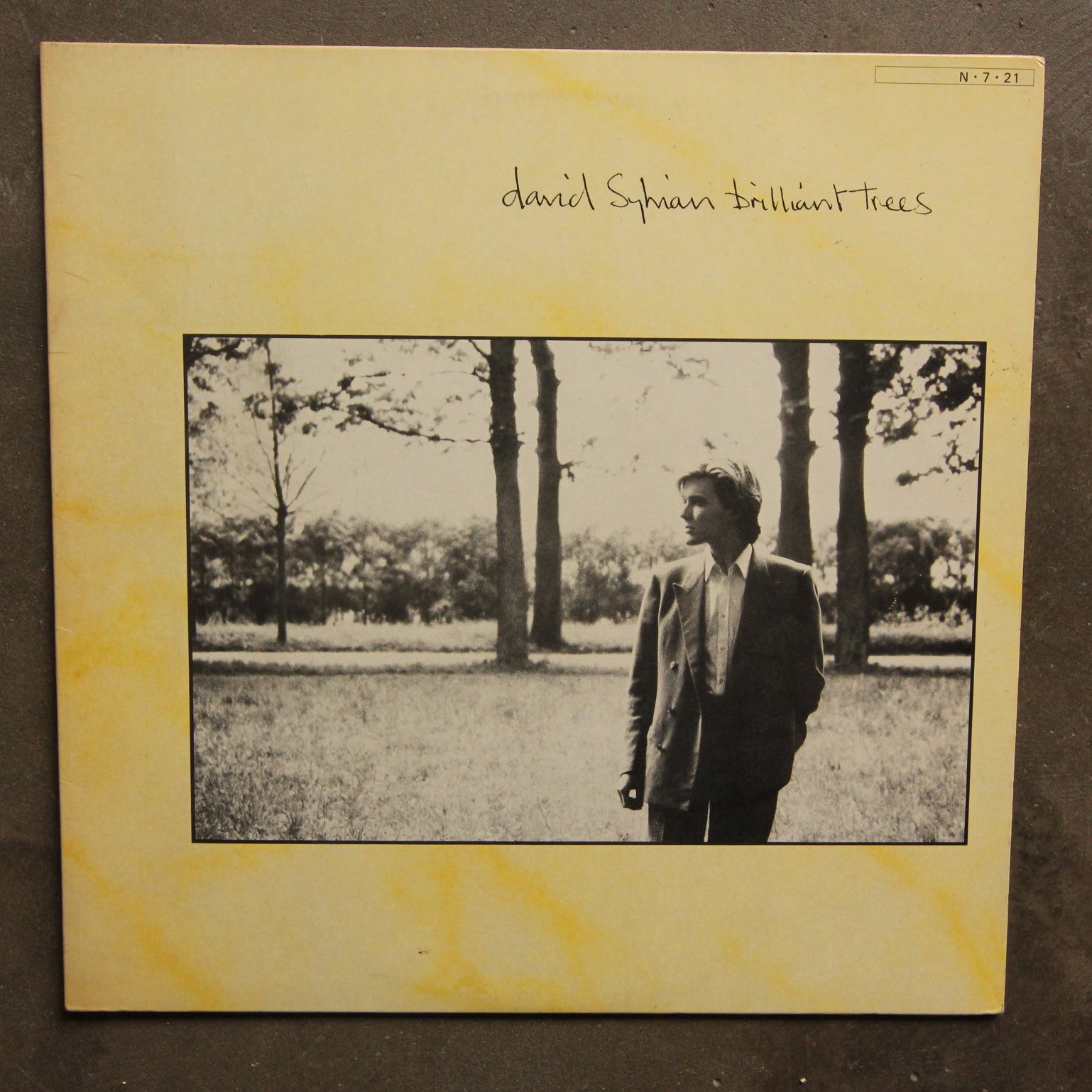 David Sylvian ‎– Brilliant Trees – All Night Flight Records