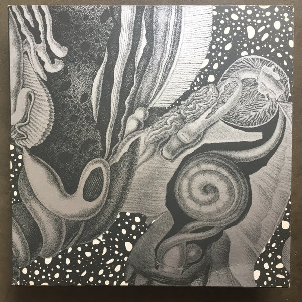 cv313 – Dimensional Space
