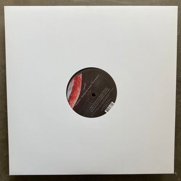 DJ Sprinkles – Queerifications & Ruins Vinyl Sampler 4
