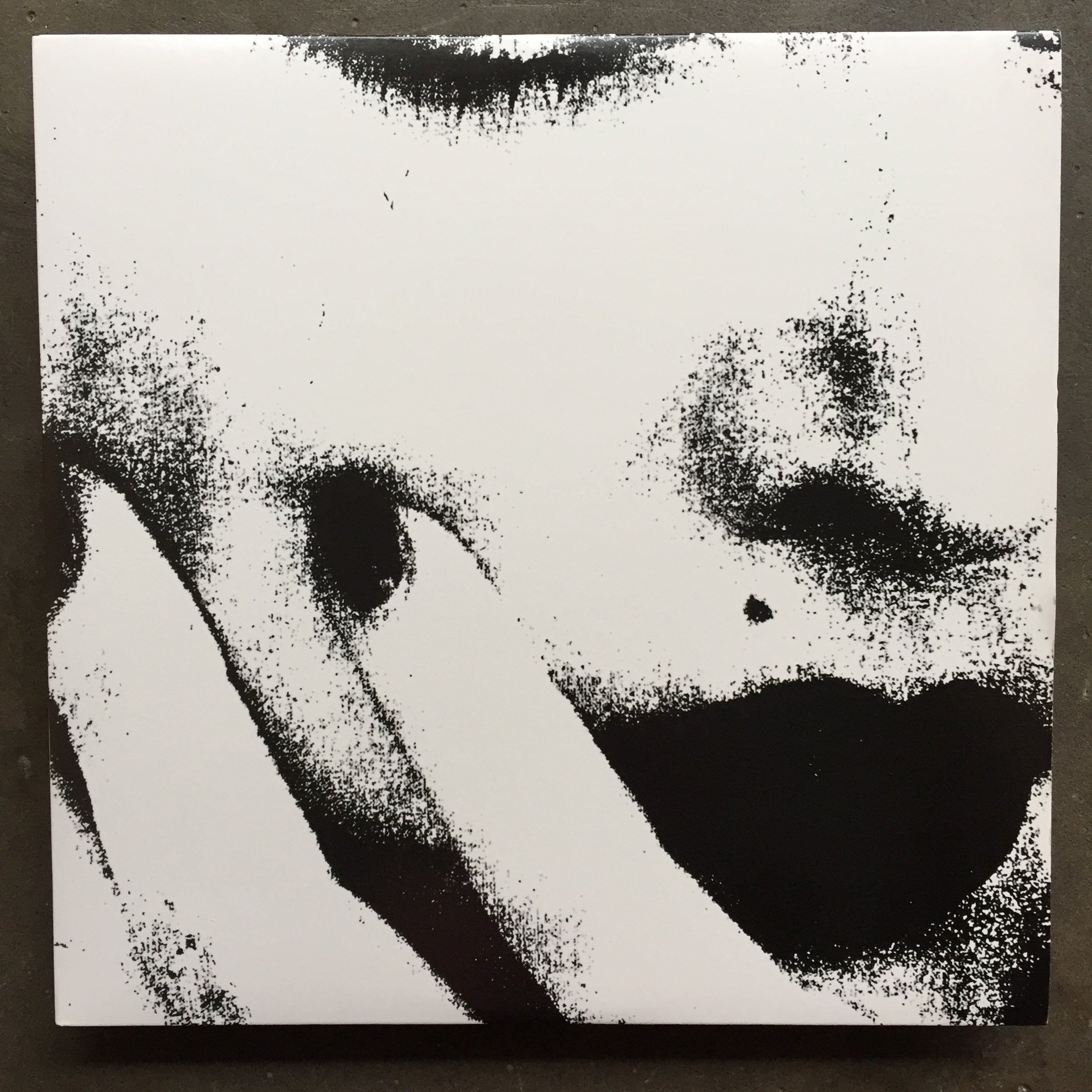 Ciccone Youth The Whitey Album LP レコード The Whitey Album | Ciccone Youth (Sonic Youth) | Sonic Youth