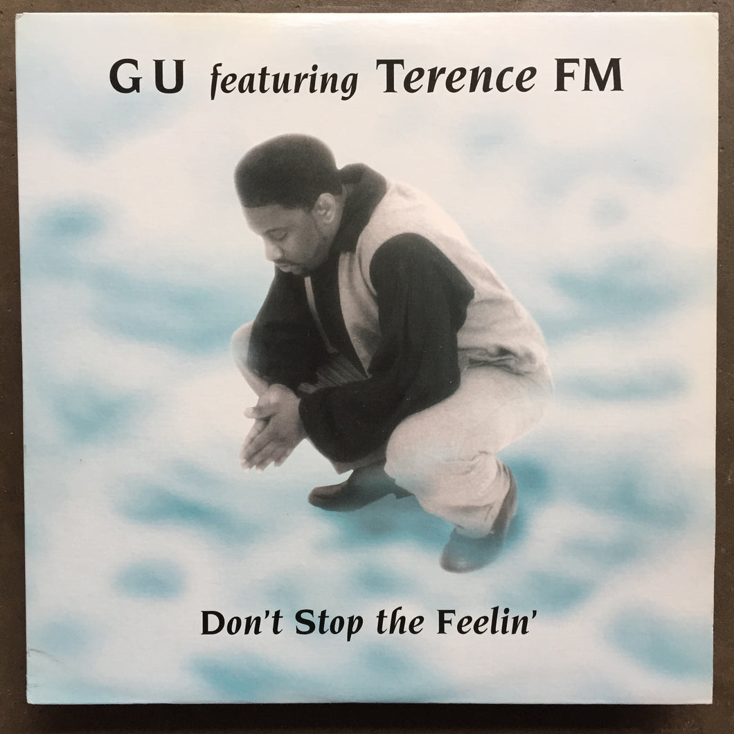 G U Featuring Terence FM – Don't Stop The Feelin'