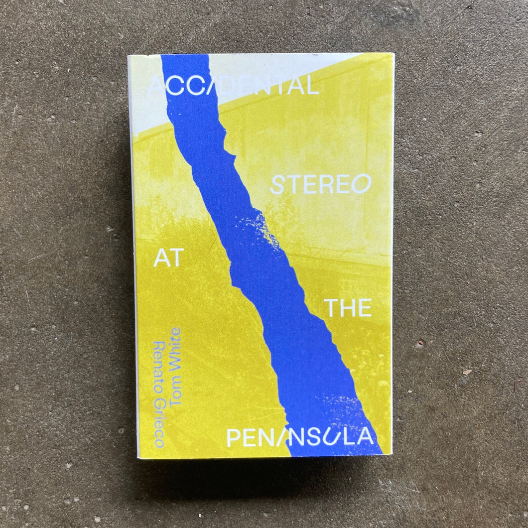 Renato Grieco & Tom White -  Accidental Stereo at the Peninsula