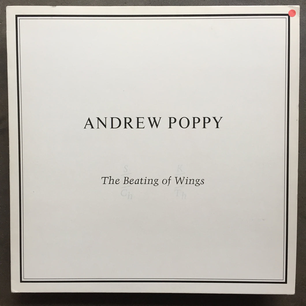 Andrew Poppy – The Beating Of Wings