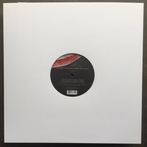 DJ Sprinkles – Queerifications & Ruins Vinyl Sampler 4