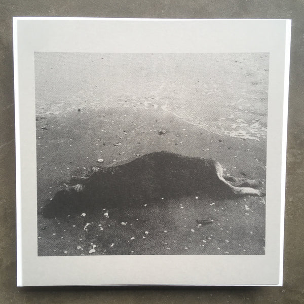 Ô Paradis & Nový Svět ‎– Entre Siempre Y Jamás Suben Las Mareas, Duermen Las Ciudades