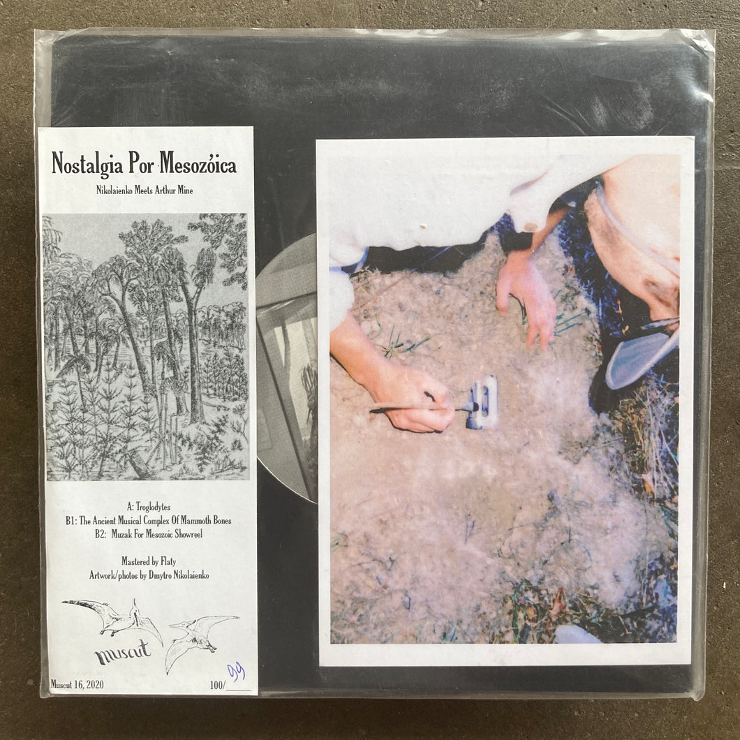 Nikolaienko, Arthur Mine – Nostalgia Por Mesozóica