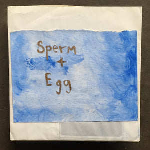 Sudden Infant / Brume / Tadpole – Sperm + Egg