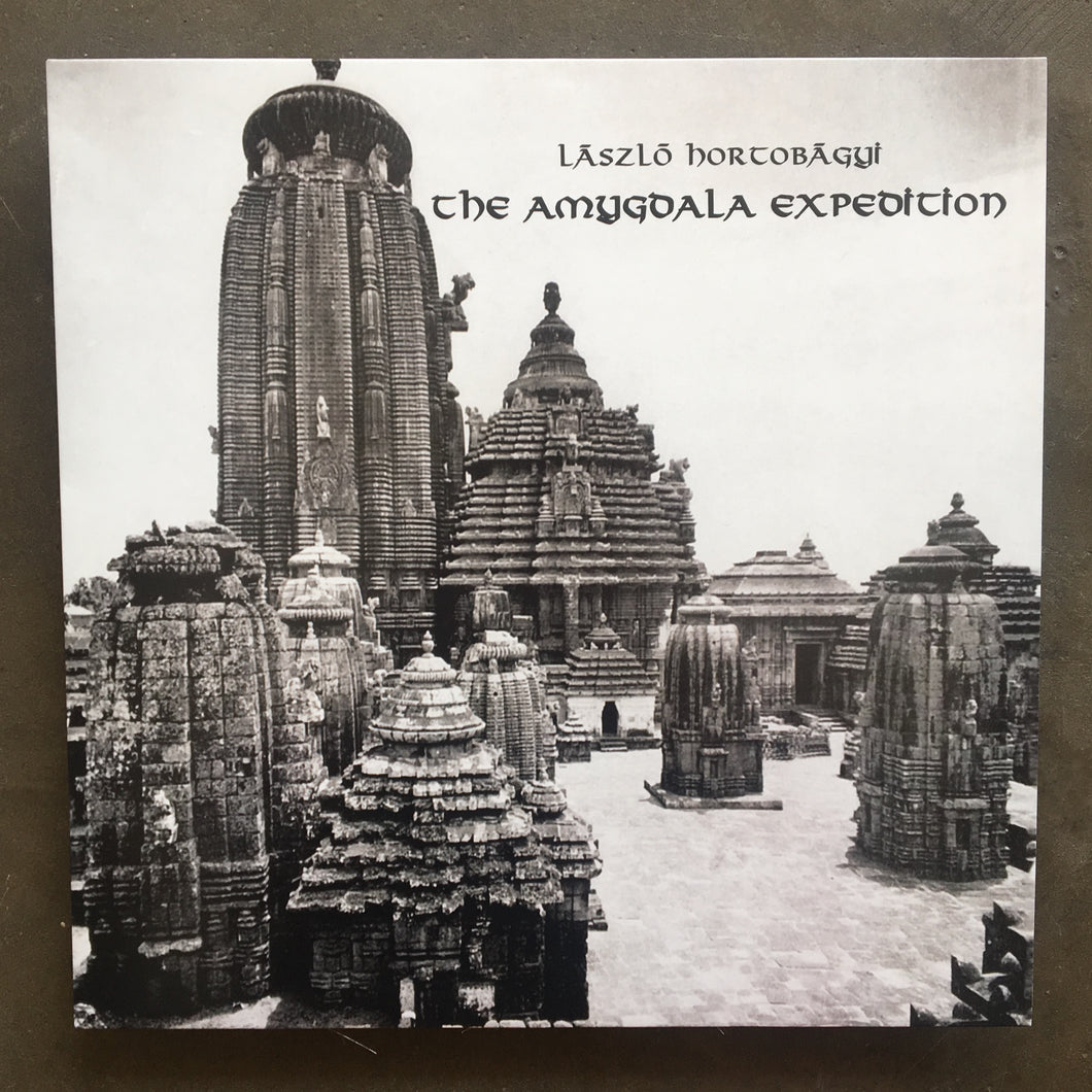 László Hortobágyi ‎– The Amygdala Expedition