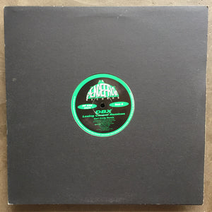 DBX ‎– Losing Control Remixes