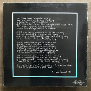 Annette Peacock – Been In The Streets Too Long